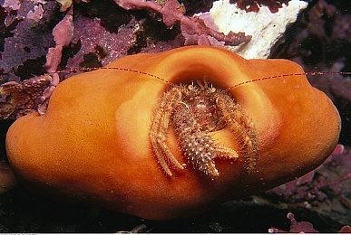 国产修仙种田游戏《一方灵田》销量破10万 新内容更新上线