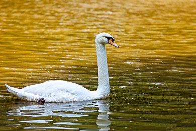 《暗邪西部》公开10分钟演示 确定延期至11月末